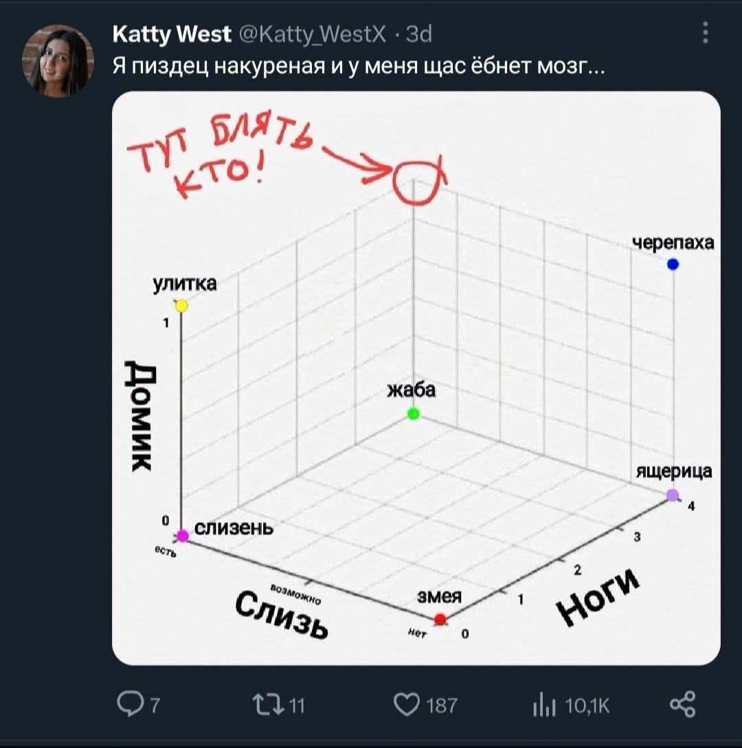 Katty West @Katty_WestX • 3d Я пиздец накуреная и у меня щас ёбнет мозг... ТУТ БЛЯТЬ. КТО! черепаха улитка Домик жаба ящерица 0 есть слизень возможно Слизь змея нет 1 2 Ноги 7 17 11 • 187 i|l 10,1K