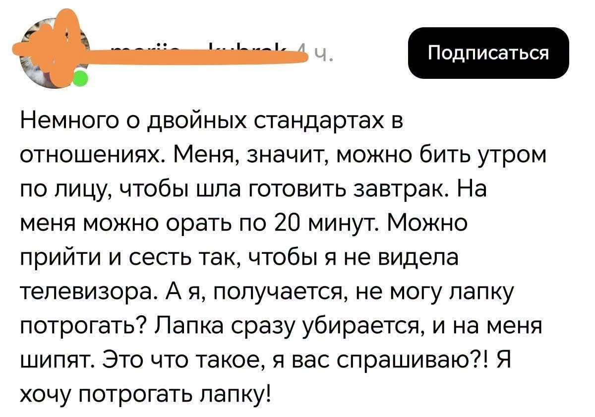 Ч. Подписаться Немного о двойных стандартах в отношениях. Меня, значит, можно бить утром по лицу, чтобы шла готовить завтрак. На меня можно орать по 20 минут. Можно прийти и сесть так, чтобы я не видела телевизора. А я, получается, не могу лапку потрогать? Лапка сразу убирается, и на меня шипят. Это что такое, я вас спрашиваю?! Я хочу потрогать лапку!