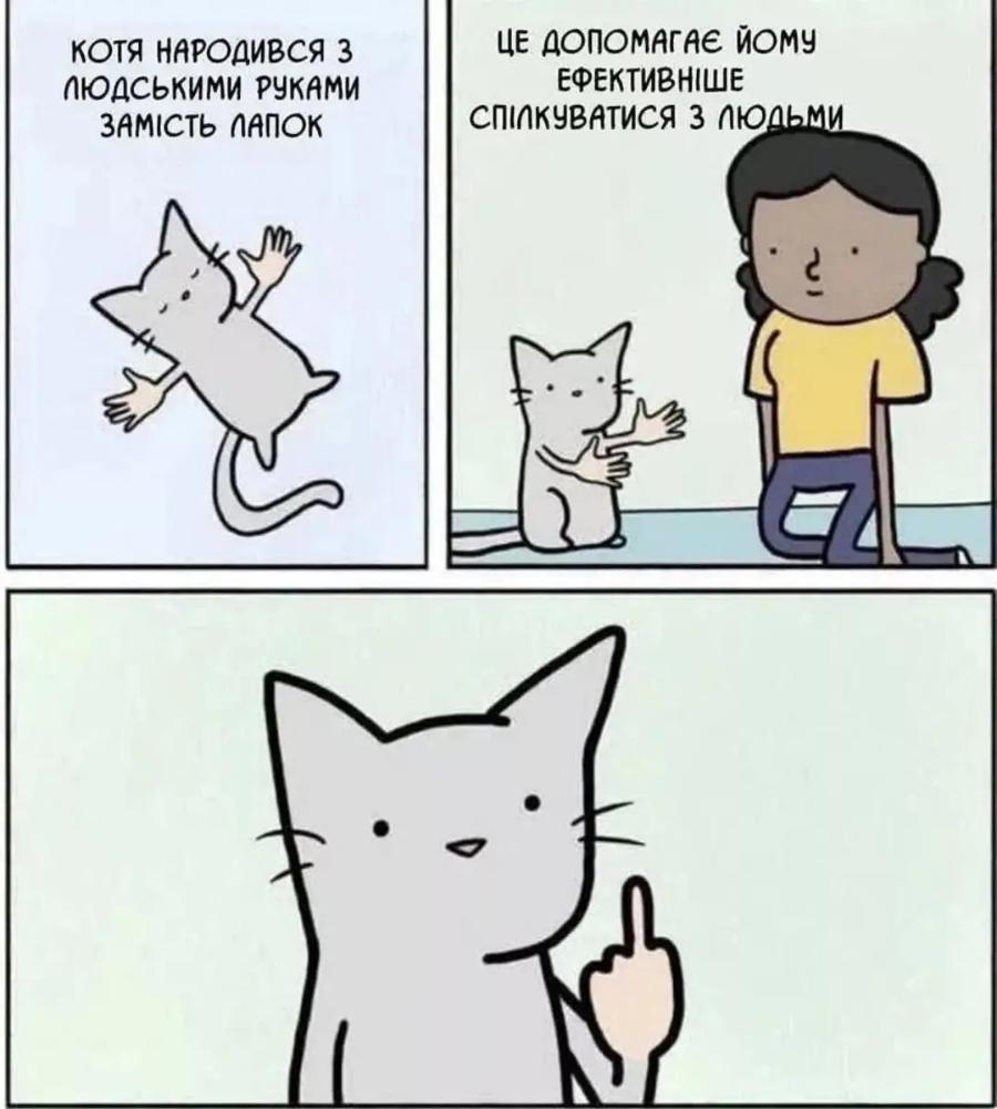 КОТЯ НАРОДИВСЯ З ЛЮДСКИМИ РУКАМИ ЗАМІСТЬ ЛАПОК ЦЕ ДОПОМАГАЄ ЙОМУ ЕФЕКТИВНІШЕ СПІЛКУВАТИСЯ З ЛЮДЬМИ
