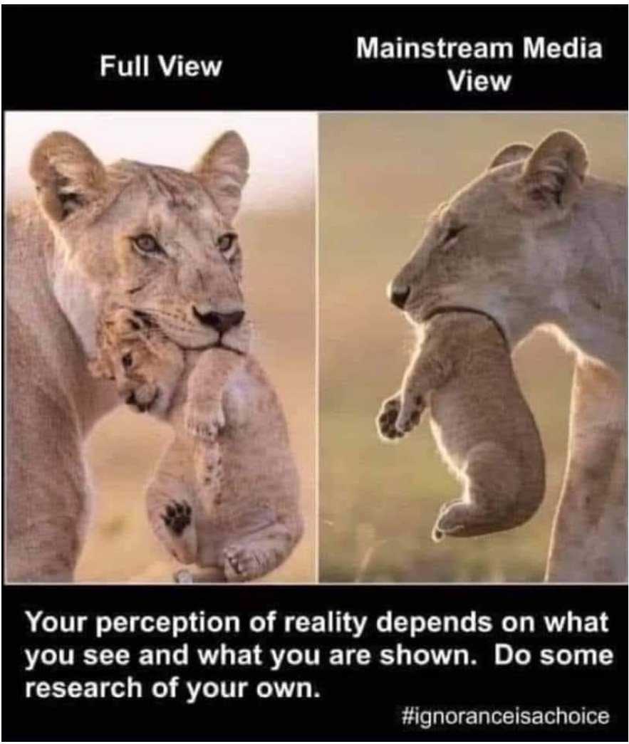 Full View Mainstream Media View Your perception of reality depends on what you see and what you are shown. Do some research of your own. #ignoranceisachoice