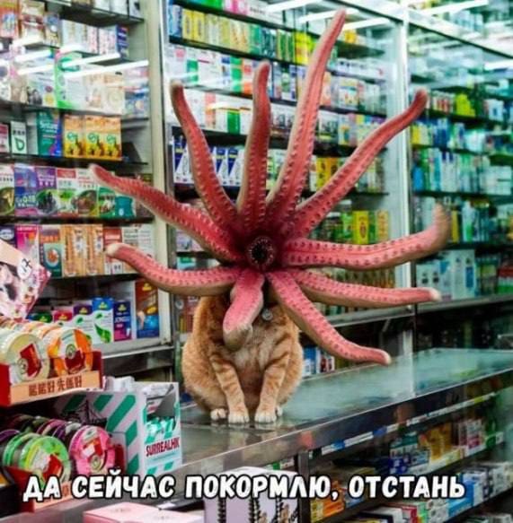 ДА СЕЙЧАС ПОКОРМЛЮ, ОТСТАНЬ