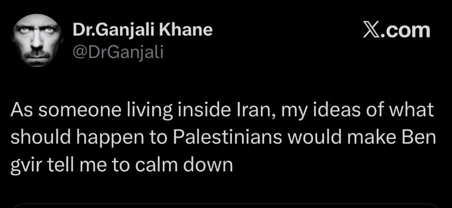Dr.Ganjali Khane @DrGanjali X.com As someone living inside Iran, my ideas of what should happen to Palestinians would make Ben gvir tell me to calm down
