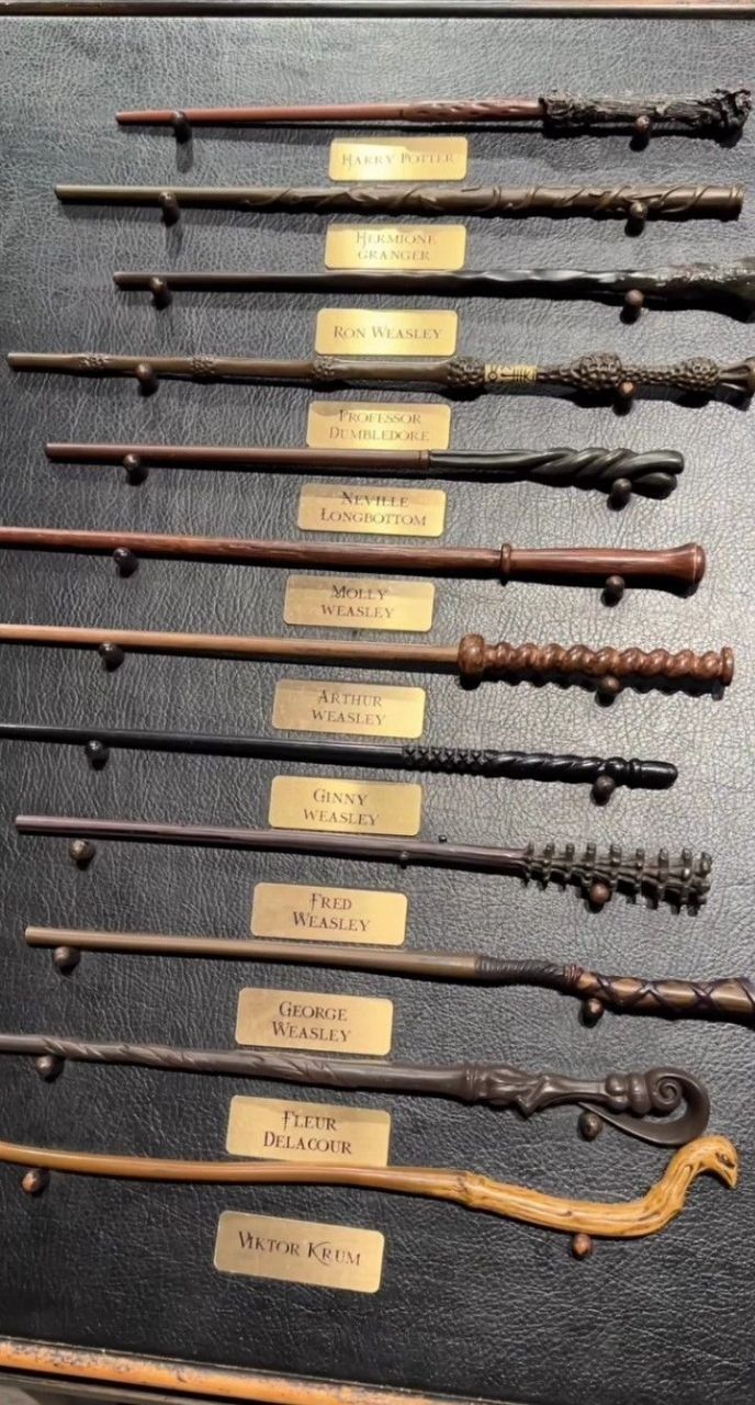 HERMIONE GRANGER RON WEASLES TROFESSOR DUMBLEDORE NEVILLE LONGBOTTOM MOLLY WEASLEY ARTHUR WEASLEY GINNY WEASLEY FRED WEASLEY GEORGE WEASLEY FLEUR DELACOUR VIKTOR KREM