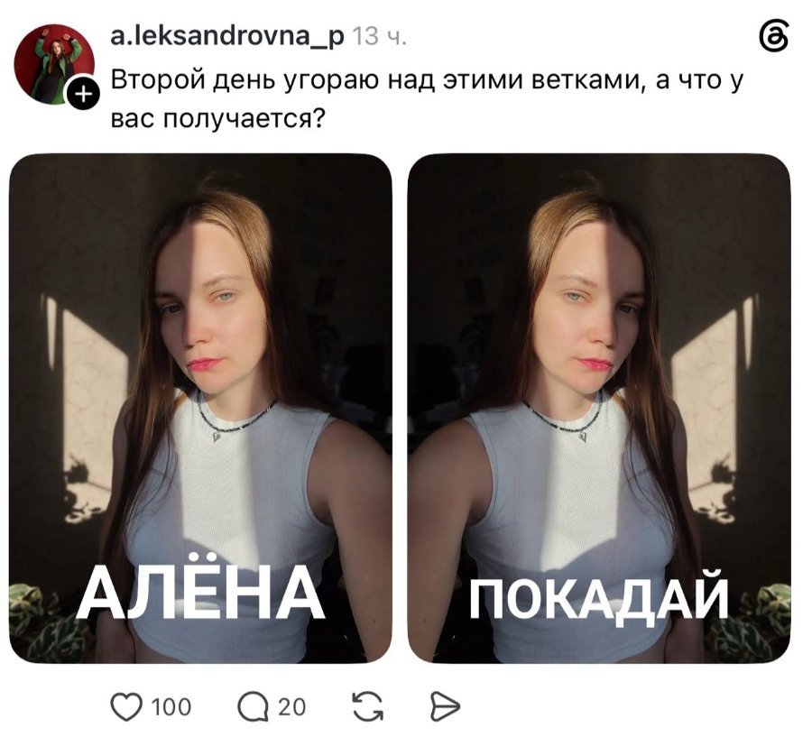aleksandrovna_p 13 ч. Второй день угораю над этими ветками, а что у вас получается? АЛЁНА ПОКАДАИ 100 a20 20 S