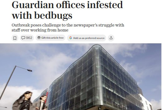 Guardian offices infested with bedbugs Outbreak poses challenge to the newspaper's struggle with staff over working from home • 962@* Gift this article free G Add us as preferred source
