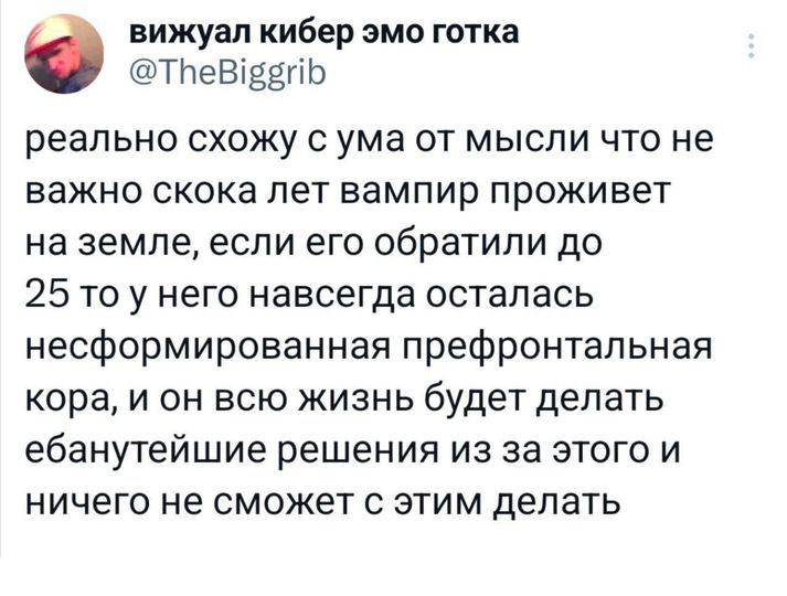 вижуал кибер эмо готка @TheBiggrib реально схожу с ума от мысли что не важно скока лет вампир проживет на земле, если его обратили до 25 то у него навсегда осталась несформированная префронтальная кора, и он всю жизнь будет делать ебанутейшие решения из за этого и ничего не сможет с этим делать