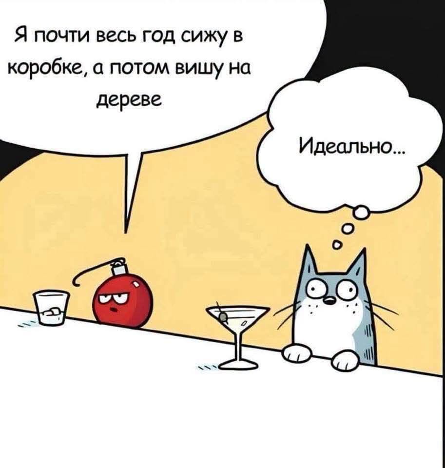 Я почти весь год сижу в коробке, а потом вишу на дереве Идеально...