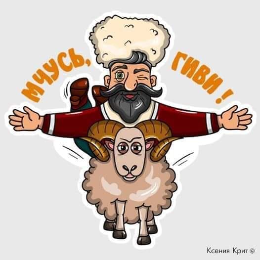 МЧУСЬ, ГИВИ Ксения Крит ®