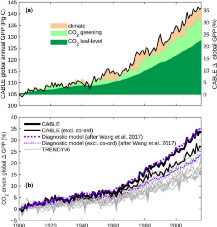 145 Ô 140 135 GP 130 I annual 125 120 CABLE global 115 110 - (a) climate CO, greening CO, leat-level 35 30 25 20 15 10 5 -driven global A GPP (%) 8 100 40 35 30 25 20 15 10 - (b) 5 - CABLE CABLE (excl. co-ord) **••• Diagnostic model (after Wang et al., 2017) ******Diagnostic model (excl. co-ord) (after Wang et al., 2017) TRENDYv6 1020| 1040 106n 1090l 2000