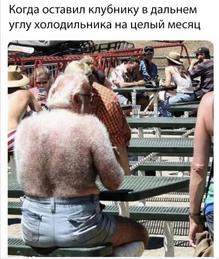 Когда оставил клубнику в дальнем углу холодильника на целый месяц