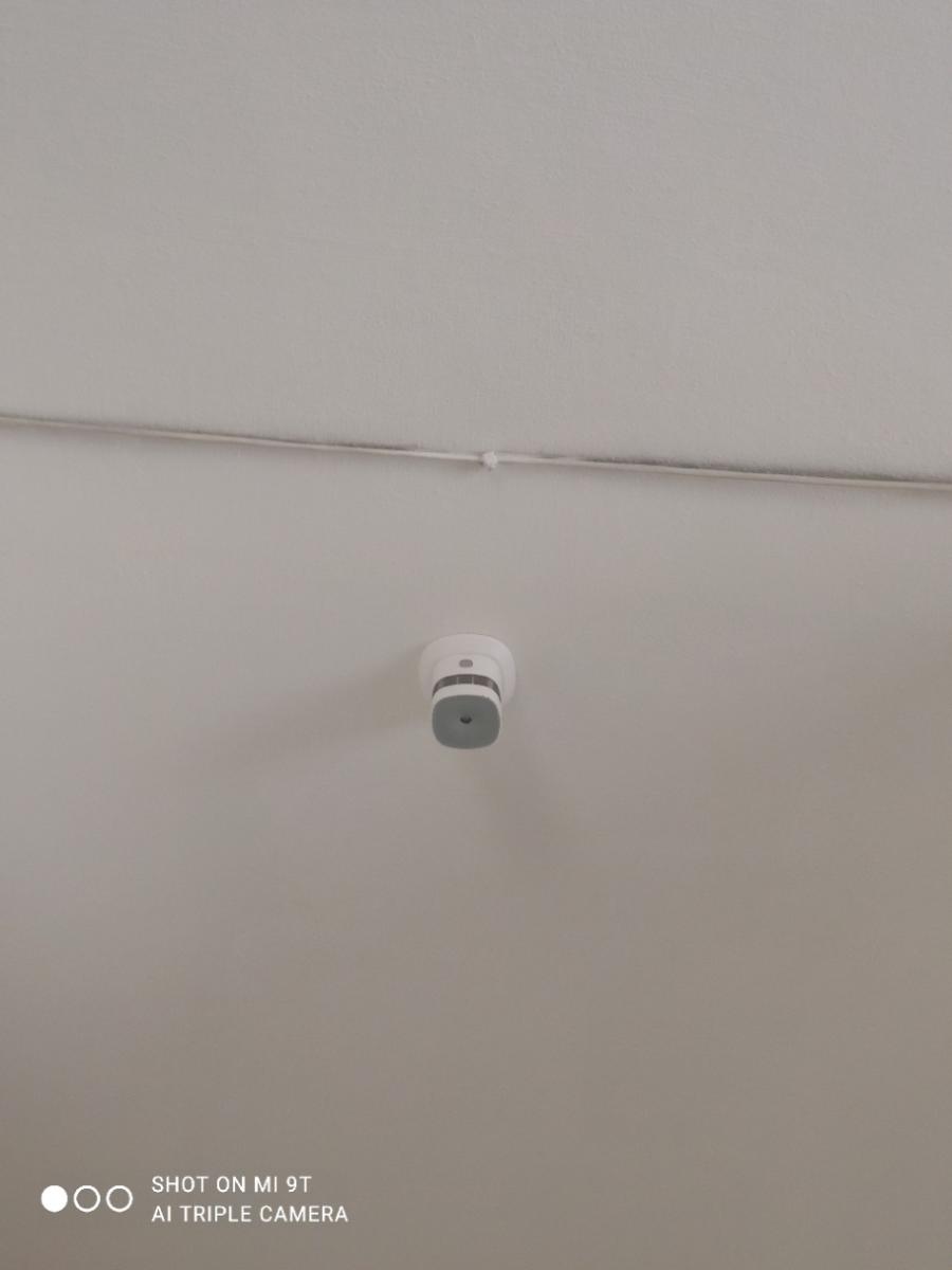 SHOT ON MI 9T AI TRIPLE CAMERA