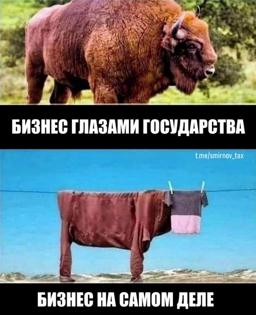 БИЗНЕС ГЛАЗАМИ ГОСУДАРСТВА t.me/smirnov_tax БИЗНЕС НА САМОМ ДЕЛЕ