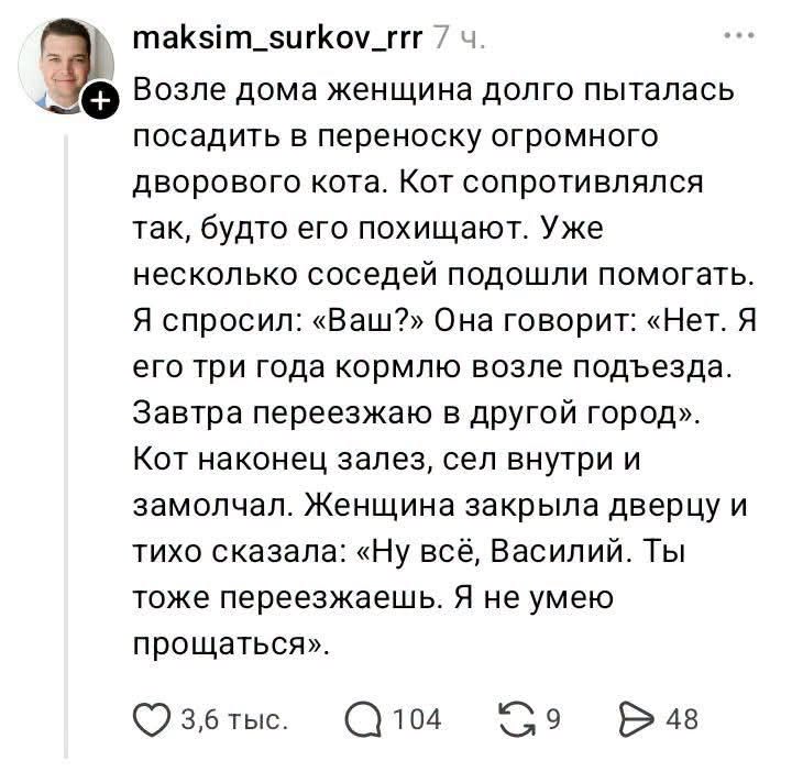maksim_surkov_rrr 7 ч. Возле дома женщина долго пыталась посадить в переноску огромного дворового кота. Кот сопротивлялся так, будто его похищают. У же несколько соседей подошли помогать. Я спросил: «Ваш?» Она говорит: «Нет. Я его три года кормлю возле подъезда. Завтра переезжаю в другой город». Кот наконец залез, сел внутри и замолчал. Женщина закрыла дверцу и тихо сказала: «Ну всё, Василий. Ты тоже переезжаешь. Я не умею прощаться». 3,6 тыс. Q 104 G 48