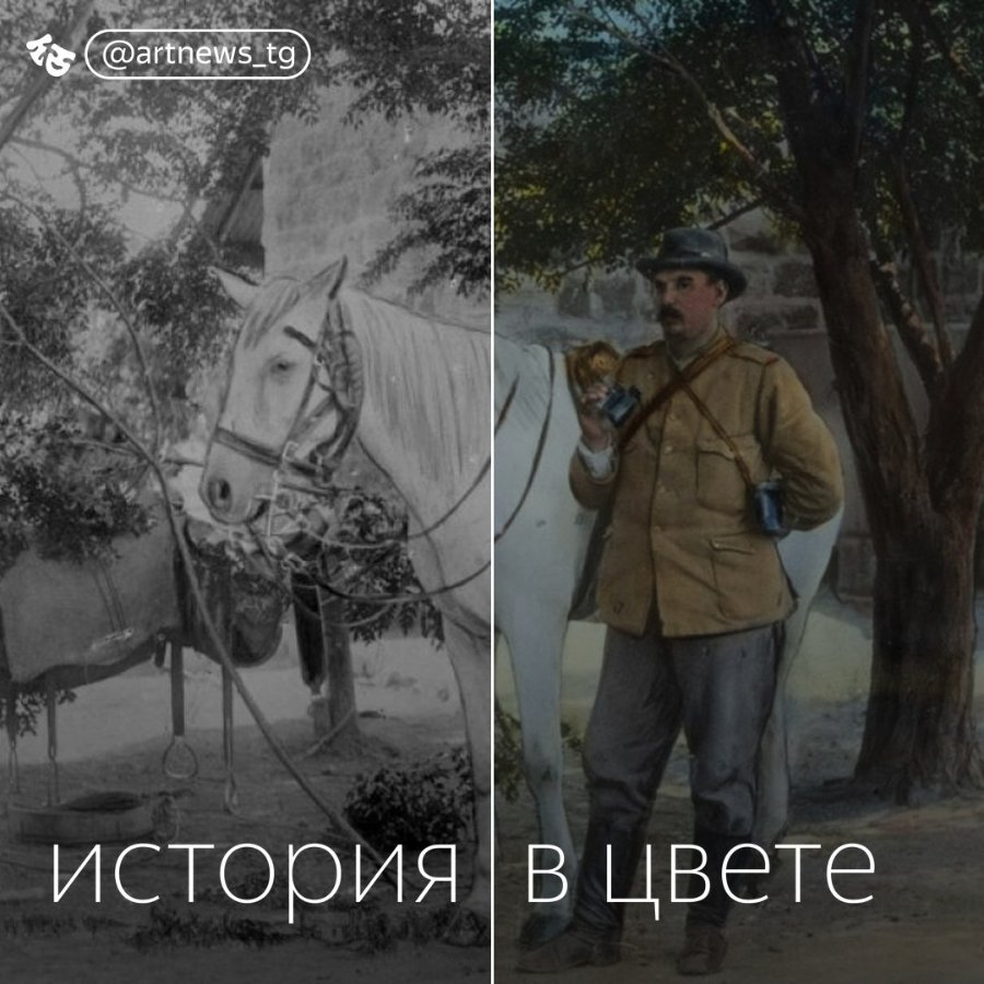 @artnews_tg история в цвете