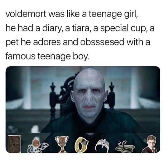 voldemort was like a teenage girl, he had a diary, a tiara, a special cup, a pet he adores and obsssesed with a famous teenage boy.