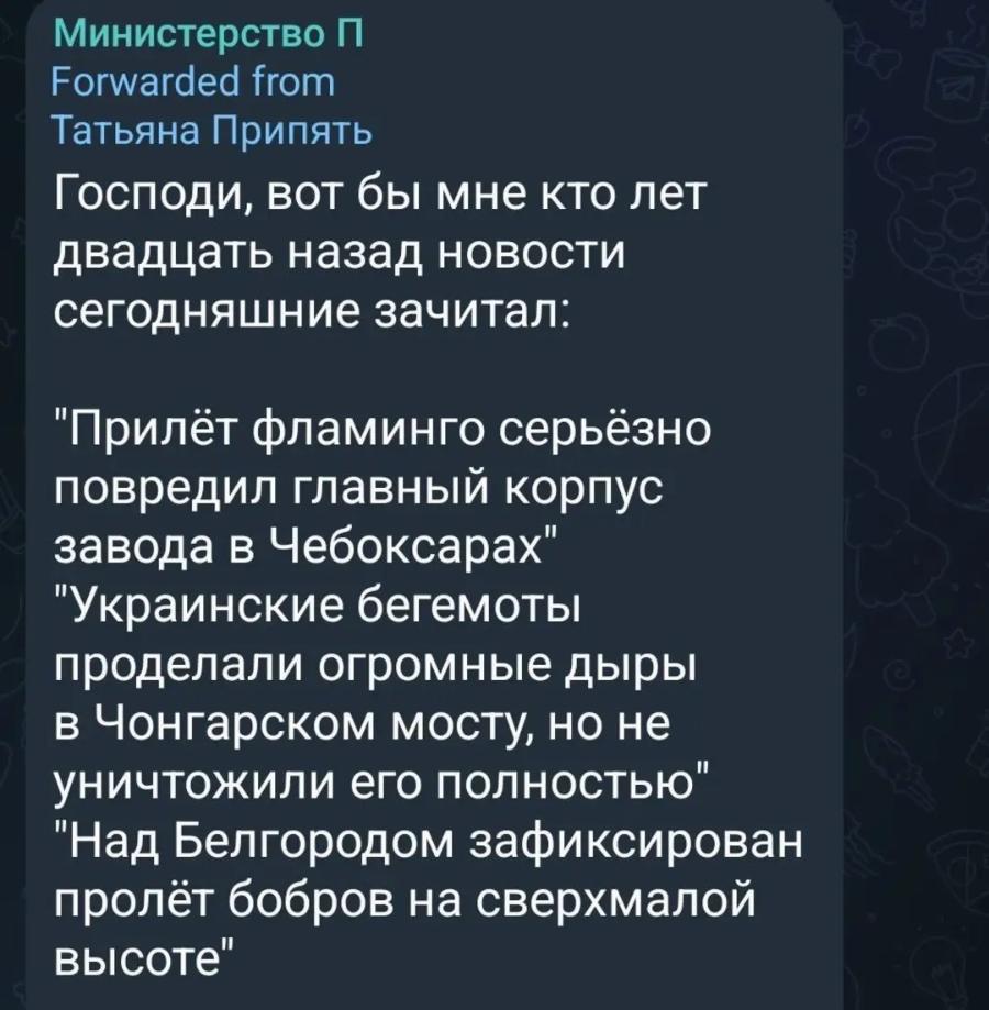 Министерство П Forwarded from Татьяна Припять Господи, вот бы мне кто лет двадцать назад новости сегодняшние зачитал: "Прилёт фламинго серьёзно повредил главный корпус завода в Чебоксарах" "Украинские бегемоты проделали огромные дыры в Чонгарском мосту, но не уничтожили его полностью" "Над Белгородом зафиксирован пролёт бобров на сверхмалой высоте"