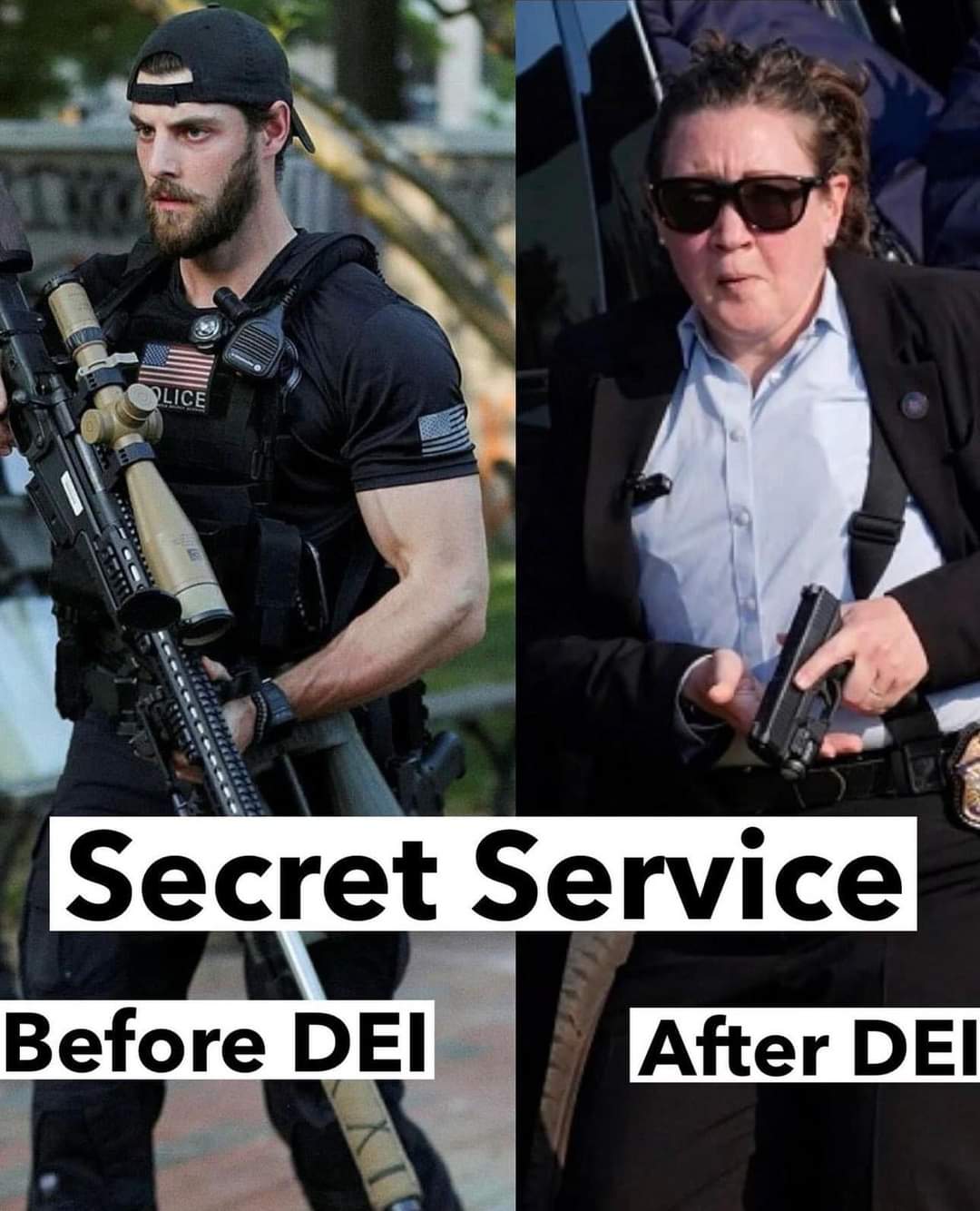 LICE Secret Service Before DEI After DEI