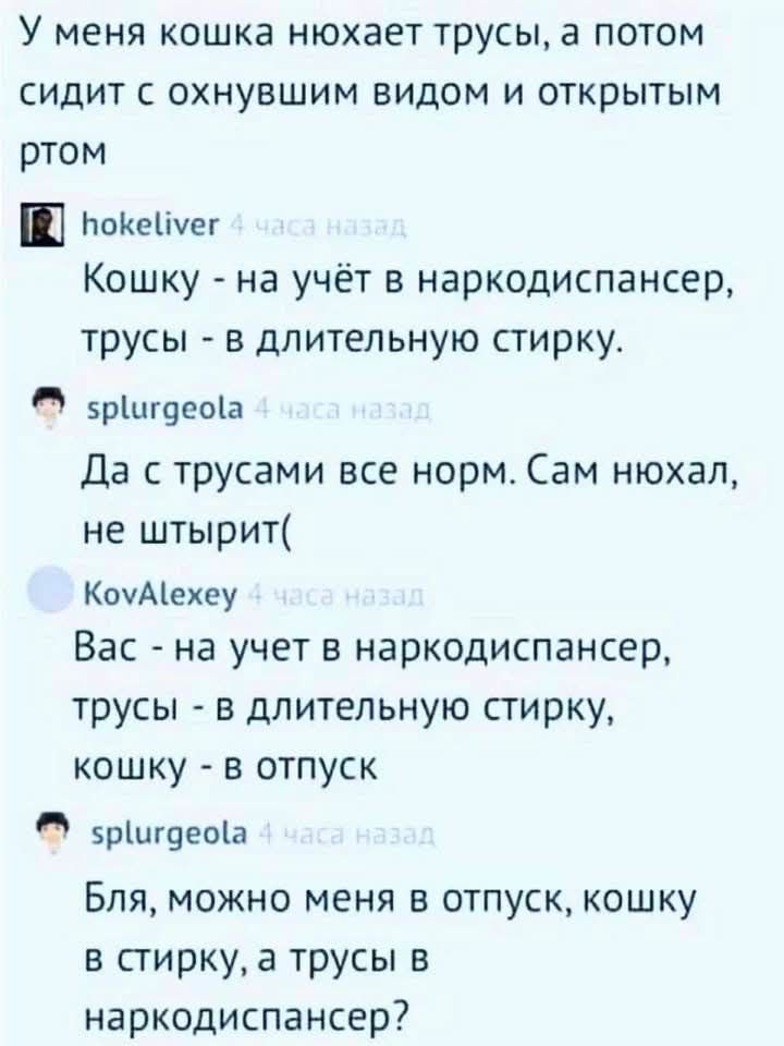 У меня кошка нюхает трусы, а потом сидит с охнувшим видом и открытым ртом hokeliver 4 Кошку - на учёт в наркодиспансер, трусы - в длительную стирку. splurgeola 4 часа назад Да с трусами все норм. Сам нюхал, не штырит( KovAlexey Вас - на учет в наркодиспансер, трусы - в длительную стирку, кошку - в отпуск splurgeola 4 часа наз Бля, можно меня в отпуск, кошку в стирку, а трусы в наркодиспансер?