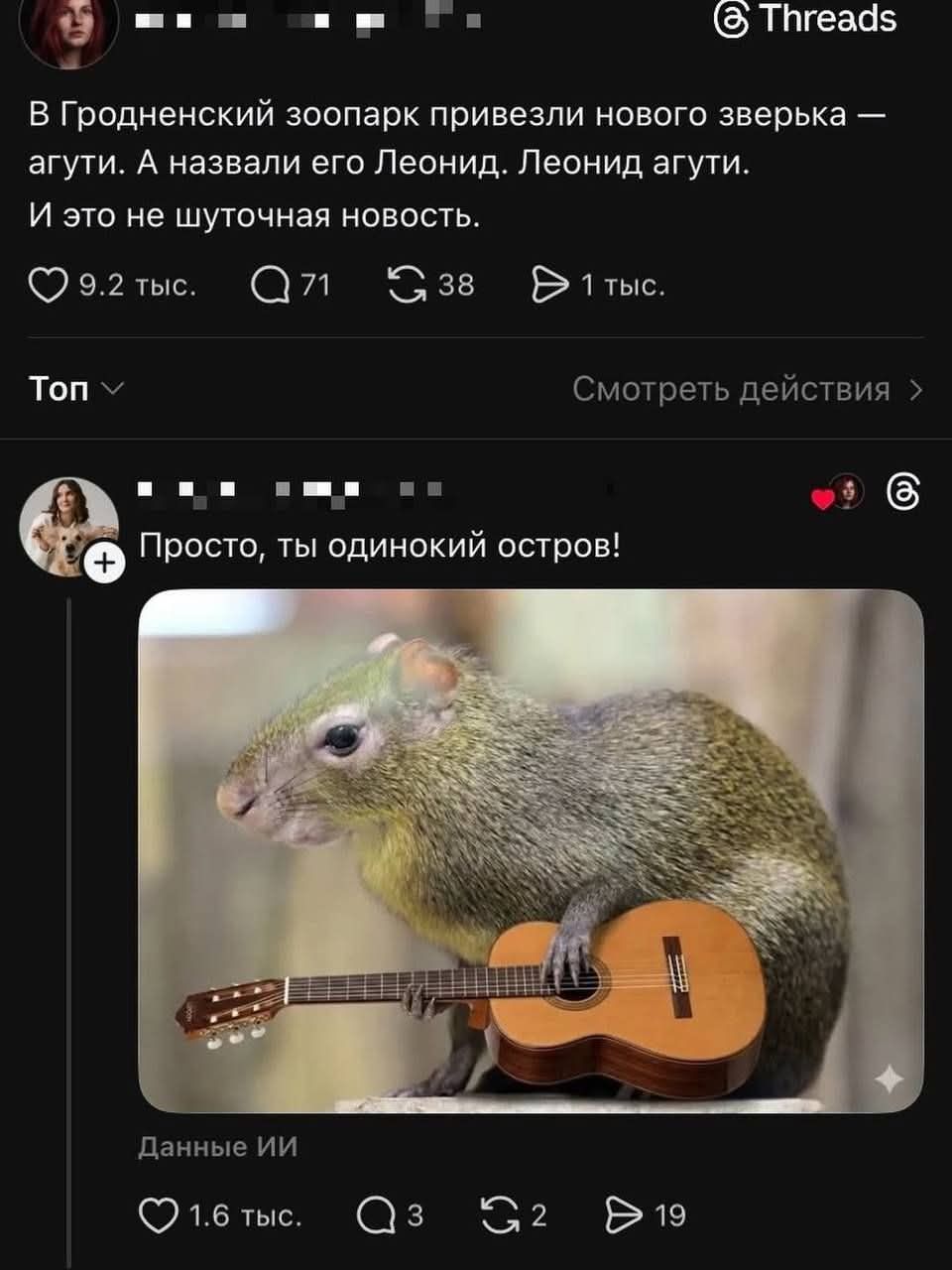 © Threads В Гродненский зоопарк привезли нового зверька - агути. А назвали его Леонид. Леонид агути. И это не шуточная новость. 9.2 тыс. Q 71 S 38 1 тыс. Ton v Смотреть действия > + ". Просто, ты одинокий остров! Данные ИИ 1.6 тыс. Q 3 19