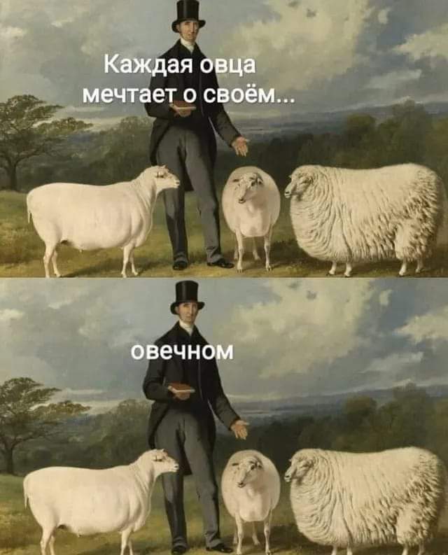Каждая овца мечтает о своём... овечном