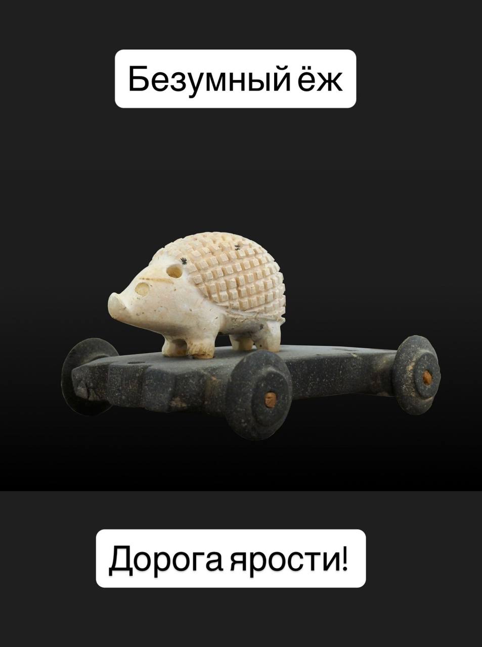 Безумный ёж Дорога ярости!