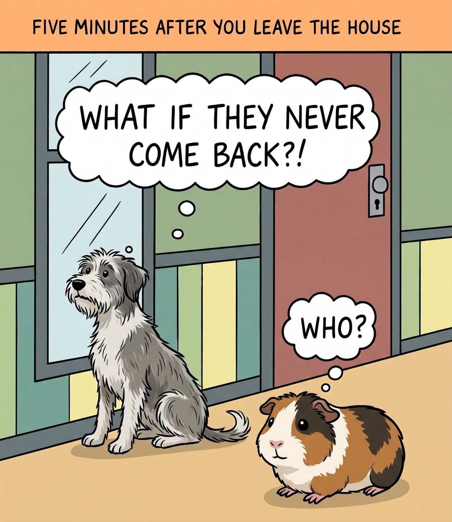 FIVE MINUTES AFTER YOU LEAVE THE HOUSE WHAT IF THEY NEVER COME BACK?! WHO?