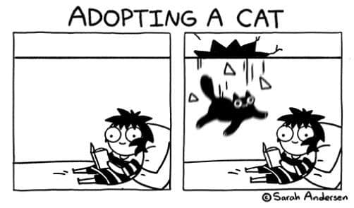 ADOPTING A CAT © Sarah Andersen