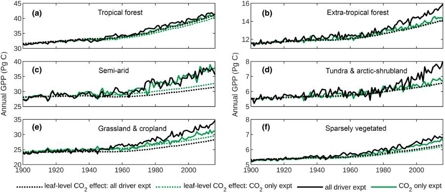Annual GPP (Pg 45 40 35 30 40 35 30 25 35 30 25 20 1900 (a) Tropical forest 16 14- (b) Extra-tropical forest (c) Semi-arid Annual GPP (Pg C) (d) Tundra & arctic-shrubland 7 6 5 (e) Grassland & cropland (f) Sparsely vegetated 7 6 5 1900 1920 1940 1960 1980 2000 1920 ........... leaf-level CO, effect: all driver expt ........... leaf-level CO, effect: CO, only expt 1940 1960 - all driver expt 1980 2000 • CO, only expt
