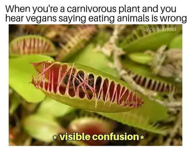 When you're a carnivorous plant and you hear vegans saying eating animals is wrong u/paolonoci * visible confusion*