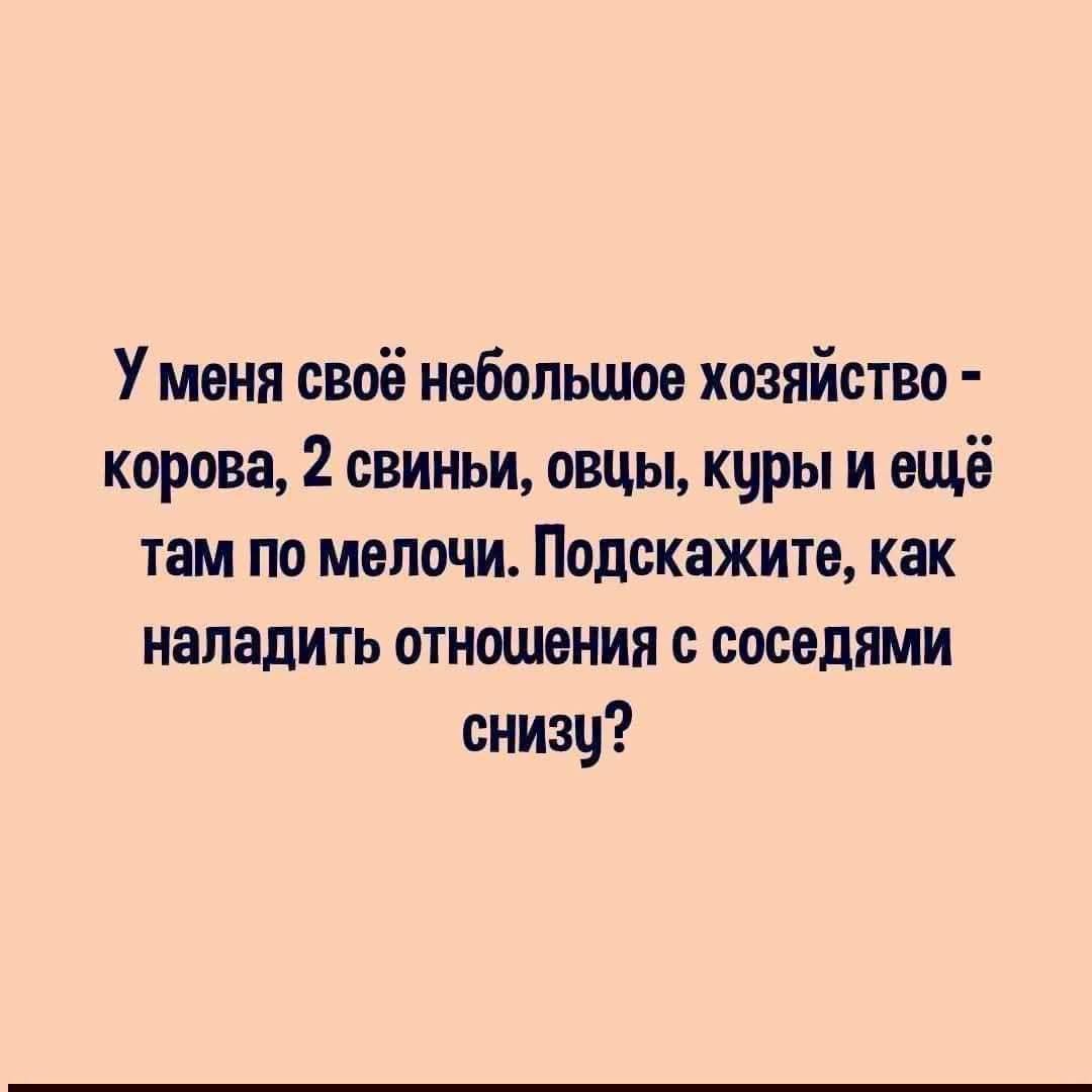 У меня своё небольшое хозяйство - корова, 2 свиньи, овцы, куры и ещё там по мелочи. Подскажите, как наладить отношения с соседями снизу?