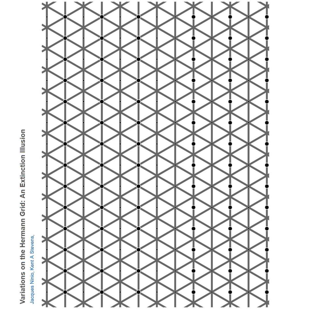 Variations on the Hermann Grid: An Extinction Illusion Jacques Ninio, Kent A Stevens, • •• •