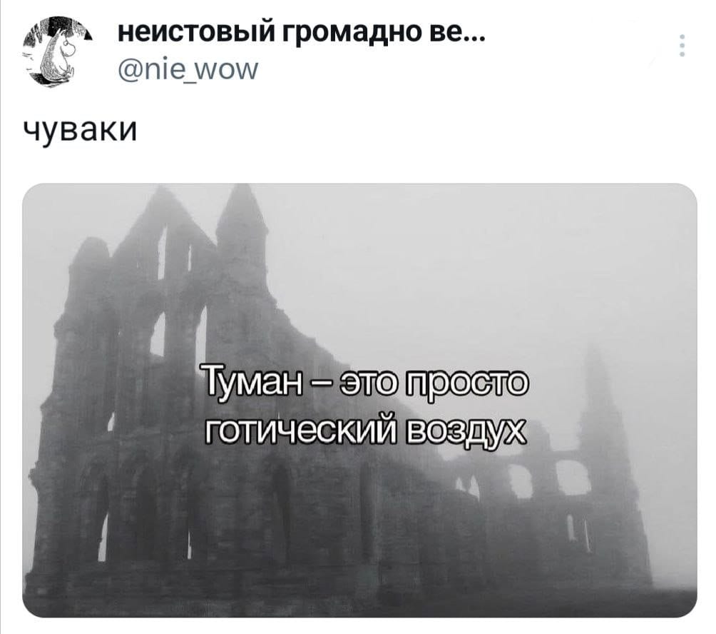 неистовый громадно ве... @nie_wow чуваки Туман - это просто готический воздух