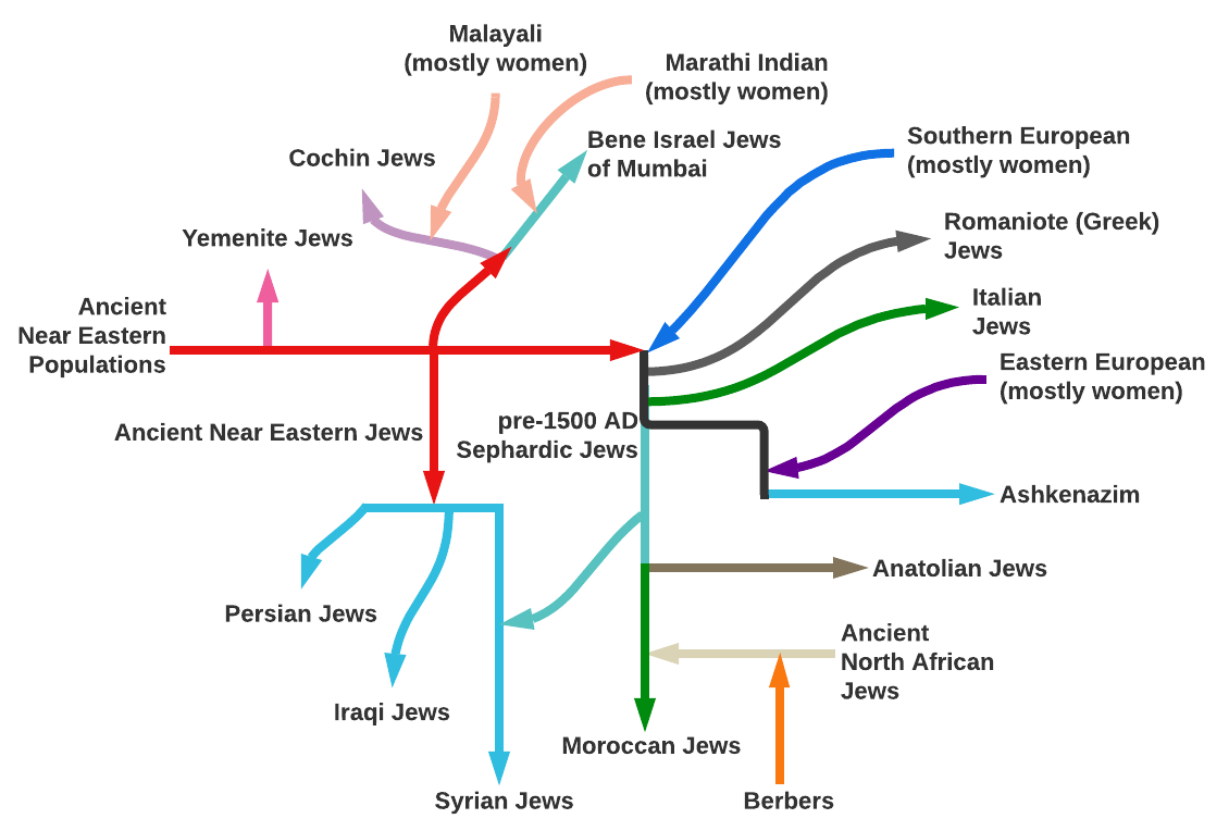 Malayali (mostly women) Cochin Jews Marathi Indian (mostly women) Bene Israel Jews of Mumbai Yemenite Jews Ancient Near Eastern Populations Ancient Near Eastern Jews Southern European (mostly women) Romaniote (Greek) Jews Italian Jews Eastern European (mostly women) pre-1500 AD Sephardic Jews • Ashkenazim Persian Jews Anatolian Jews Ancient North African Jews Iraqi Jews Moroccan Jews Syrian Jews Berbers