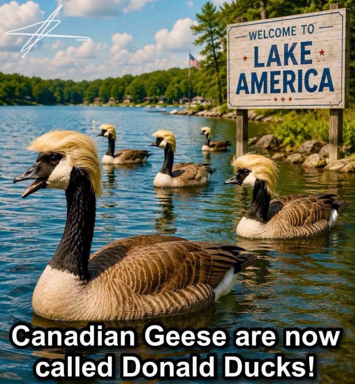 - WELCOME TO - + LAKE * AMERICA Canadian Geese are now called Donald Ducks!