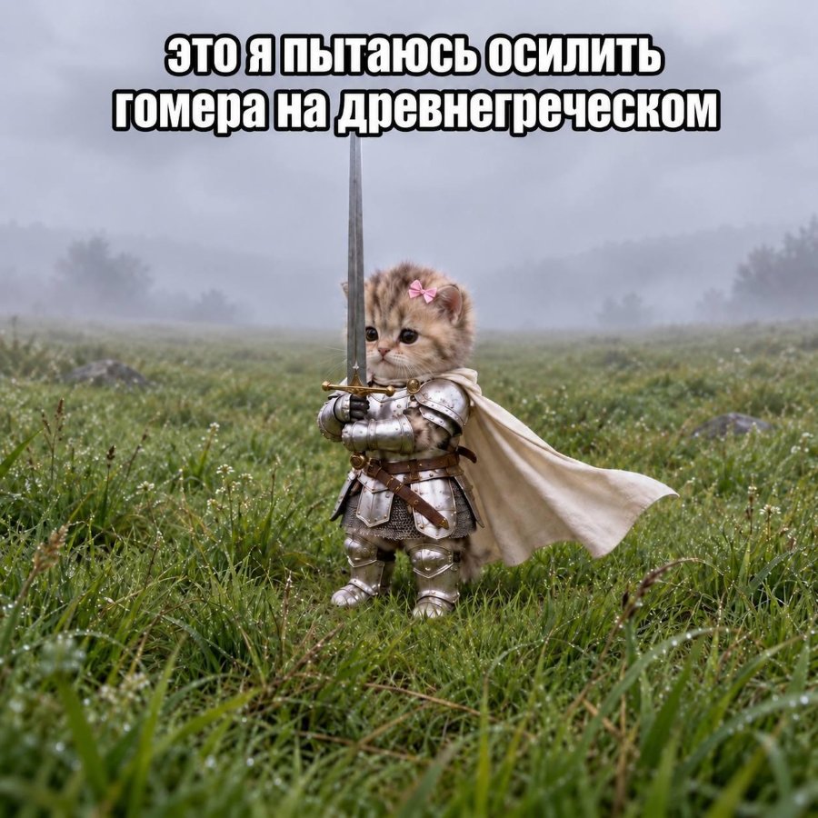 это я пытаюсь осилить гомера на древнегреческом
