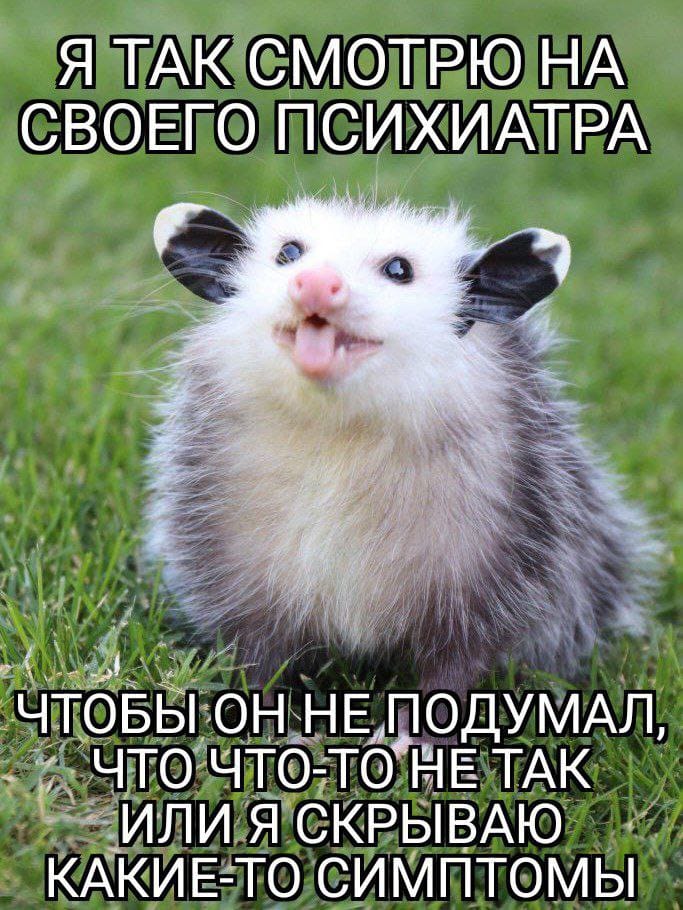 Я ТАК СМОТРЮ НА СВОЕГО ПСИХИАТРА ЧТОБЫ ОН НЕ ПОДУМАЛ, ЧТО ЧТО-ТО НЕ ТАК ИЛИ Я СКРЫВАЮ КАКИЕ-ТО СИМПТОМЫ