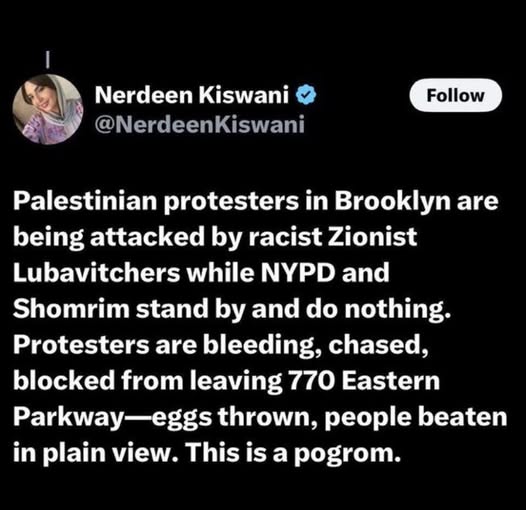Nerdeen Kiswani @NerdeenKiswani Follow Palestinian protesters in Brooklyn are being attacked by racist Zionist Lubavitchers while NYPD and Shomrim stand by and do nothing. Protesters are bleeding, chased, blocked from leaving 770 Eastern Parkway-eggs thrown, people beaten in plain view. This is a pogrom.