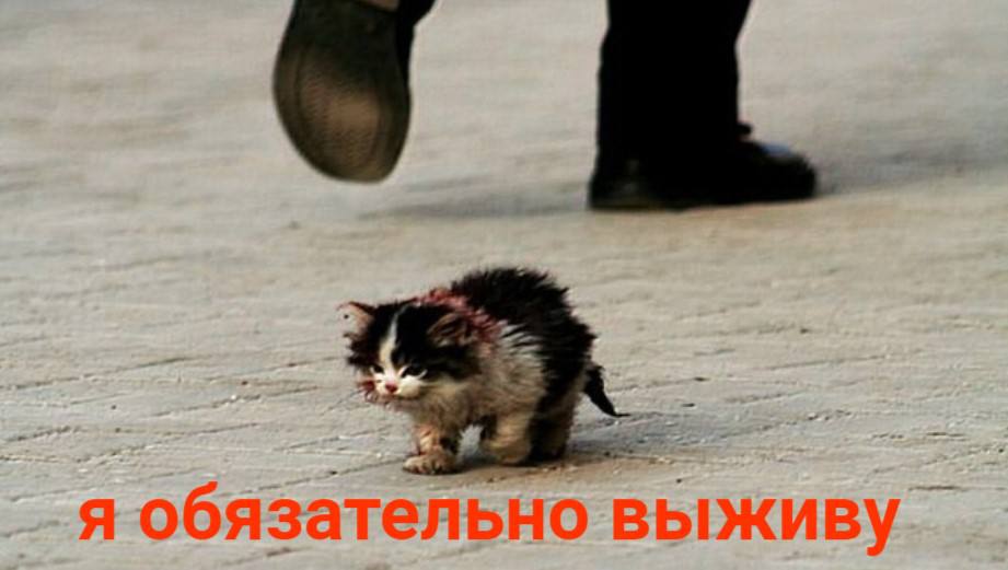 я обязательно выживу