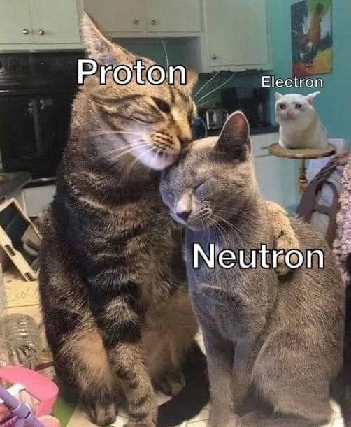 Proton Electron Neutron