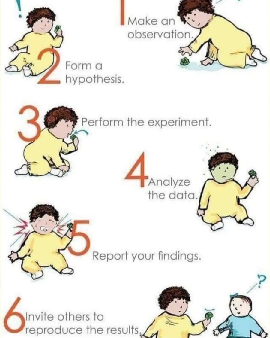 Make an observation. 2 Form a hypothesis. 3 Perform the experiment. 4 Analyze the data. Report your findings. Oinvite others to reproduce the results.