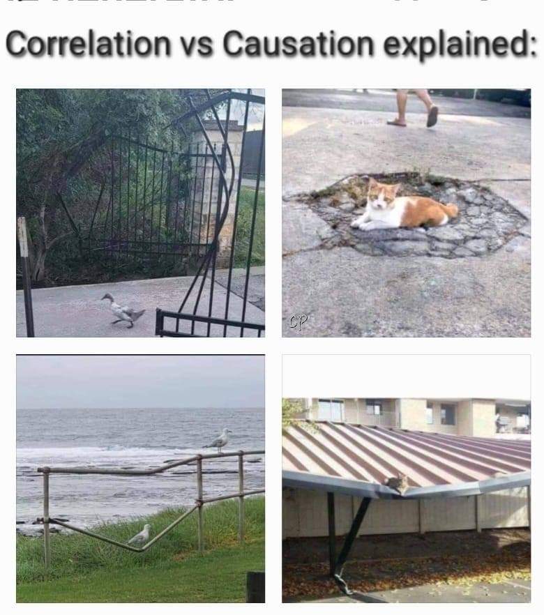 Correlation vs Causation explained: