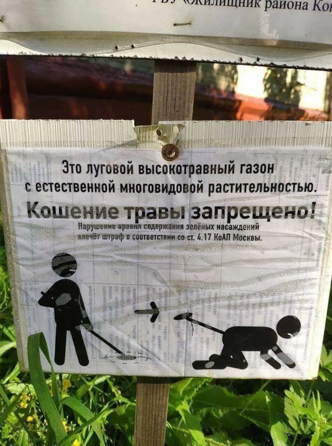 Это луговой высокотравный газон с естественной многовидовой растительностью. Кошение травы запрещено! Нарушение правил содержания зелёных насаждений влечёт штраф в соответствии со ст. 4.17 КоАП Москвы.