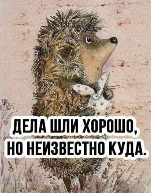 ДЕЛА ШЛИ ХОРОШО, НО НЕИЗВЕСТНО КУДА.