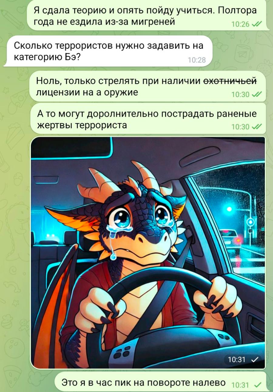 Я сдала теорию и опять пойду учиться. Полтора года не ездила из-за мигреней 10:26 JI Сколько террористов нужно задавить на категорию Бэ? 10:28 Ноль, только стрелять при наличии охотничьей лицензии на а оружие 10:30 J/ А то могут доролнительно пострадать раненые жертвы террориста 10:30 V/ 10:31 Это я в час пик на повороте налево 10:31 V