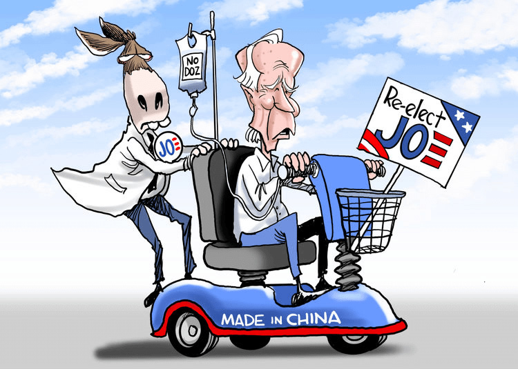 No DOZ Re-elect VOS * * MADE IN CHINA