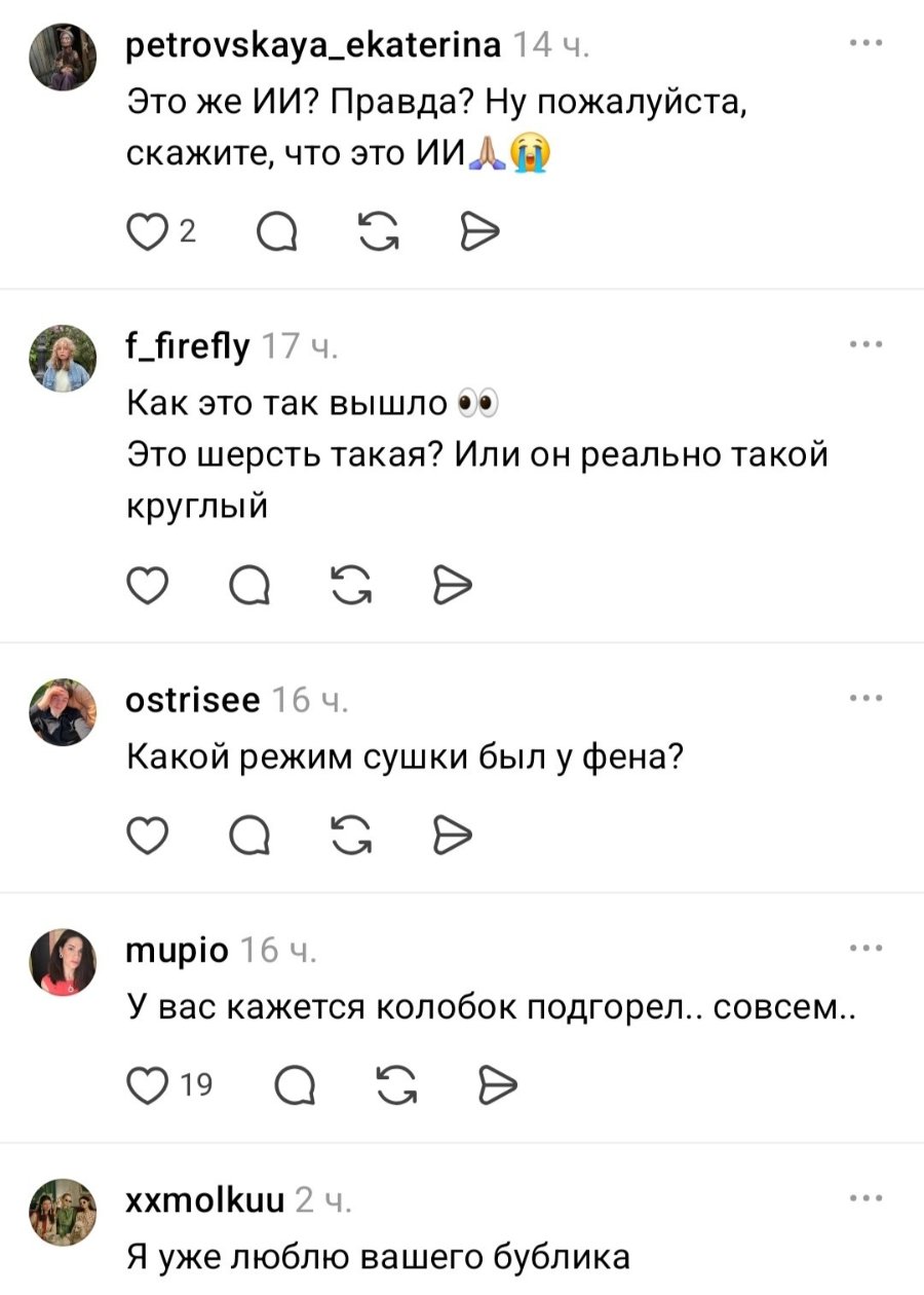 petrovskaya_ekaterina 14ч. Это же ИИ? Правда? Ну пожалуйста, скажите, что это ИИ Д (.)) 2 f_firefly 17ч. Как это так вышло •• Это шерсть такая? Или он реально такой круглый ostrisee 16 4. Какой режим сушки был у фена? тиріо 16 ч. У вас кажется колобок подгорел.. совсем.. 19 • xxmolkuu 2 ч. Я уже люблю вашего бублика