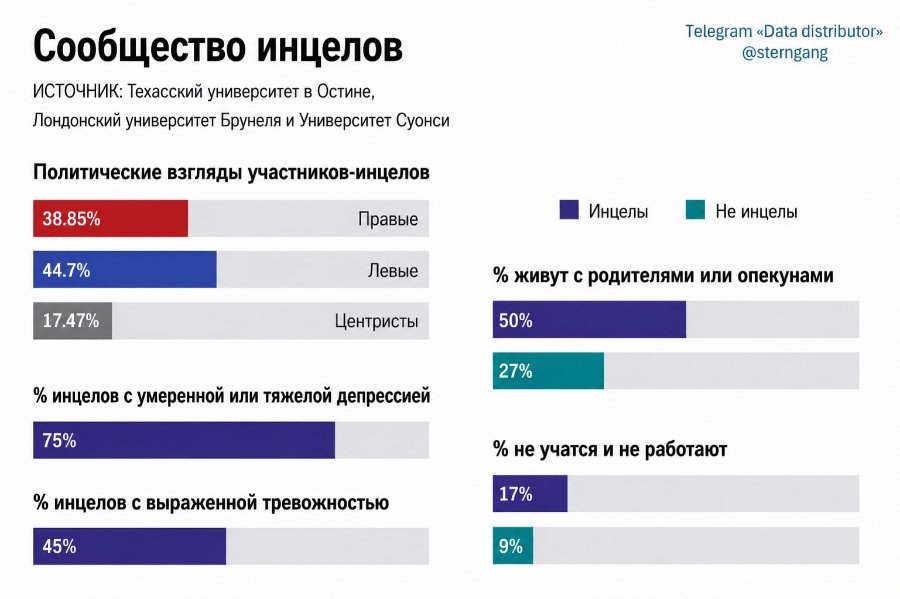 Сообщество инцелов ИСТОЧНИК: Техасский университет в Остине, Лондонский университет Брунеля и Университет Суонси Политические взгляды участников-инцелов 38.85% Правые 44.7% Левые 17.47% Центристы % инцелов с умеренной или тяжелой депрессией 75% % инцелов с выраженной тревожностью 45% Telegram «Data distributor» @sterngang • Инцелы • Не инцелы % живут с родителями или опекунами 50% 27% % не учатся и не работают 17% 9%