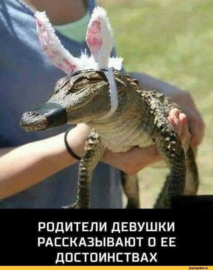 РОДИТЕЛИ ДЕВУШКИ РАССКАЗЫВАЮТ О ЕЕ ДОСТОИНСТВАХ toyreactor.cc