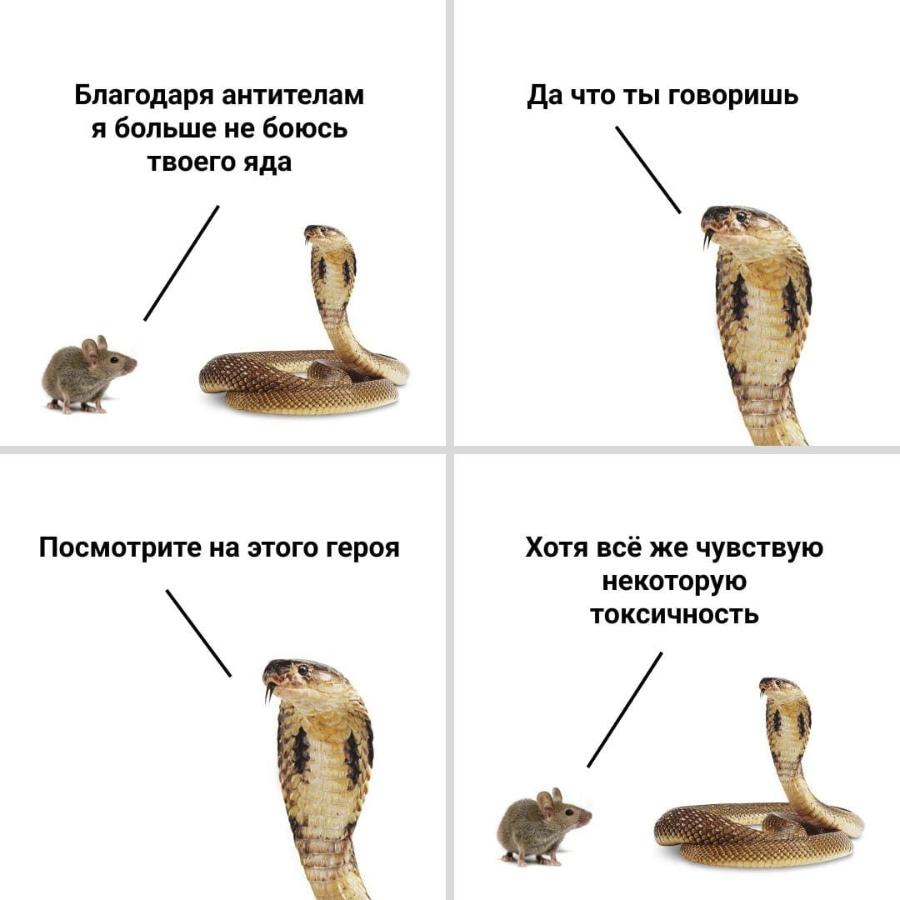 Благодаря антителам я больше не боюсь твоего яда Посмотрите на этого героя Да что ты говоришь Хотя всё же чувствую некоторую ТОКСИЧНОСТЬ