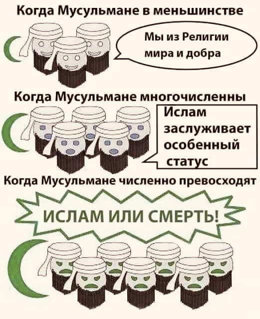Когда Мусульмане в меньшинстве Мы из Религии мира и добра Когда Мусульмане многочисленны Ислам заслуживает особенный статус Когда Мусульмане численно превосходят ИСЛАМ ИЛИ СМЕРТЬ!
